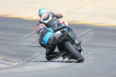 media/Mar-10-2024-SoCal Trackdays (Sun) [[6228d7c590]]/9-Turn 8 Backside (1150am)/